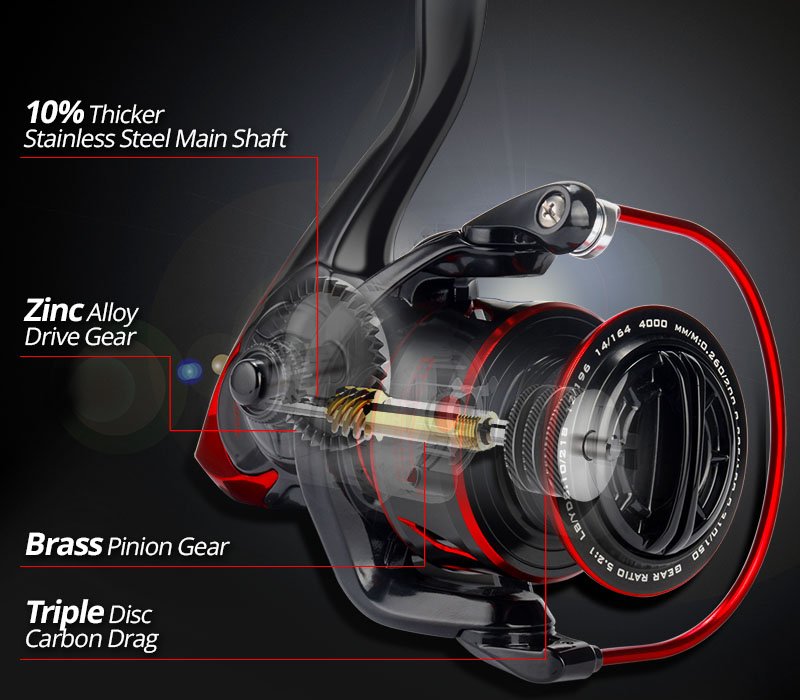 Bait Casting Reel with Dual Brake System for Fishing - Camping and RV  Supplies Pty Ltd Australia Brisbane Caboolture Morayfield Burpengary